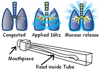 lungtube.jpg