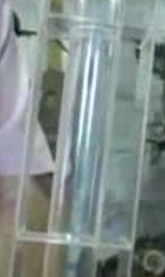 beam4.jpg