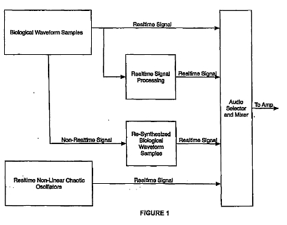 fig1.jpg