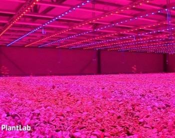 plantlab.jpg