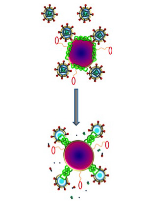 HIVnano_primary.jpg