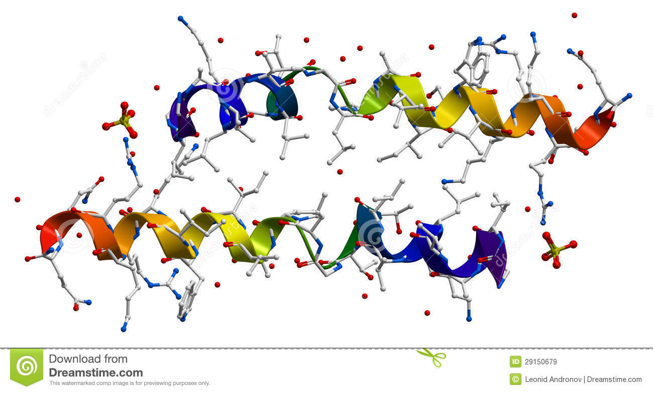 melittin-principal-component-bee-venom-29150679.jpg