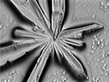 life-crystals.jpg