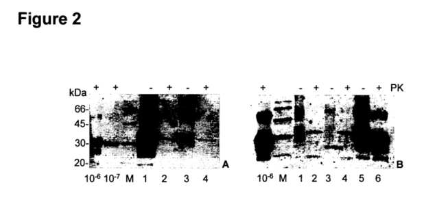 fig2.jpg