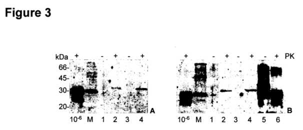 fig3.jpg