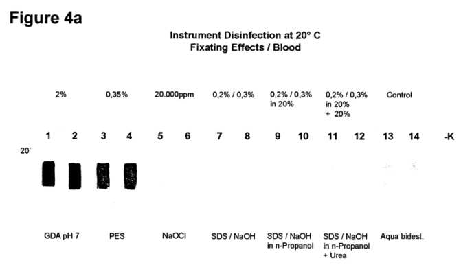 fig4.jpg