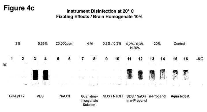 fig4c.jpg