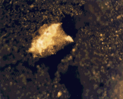 gas06.gif