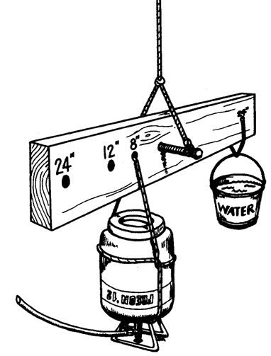 minto9.jpg