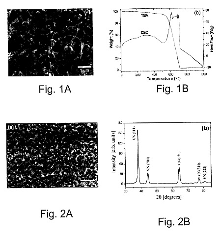 fig1.jpg