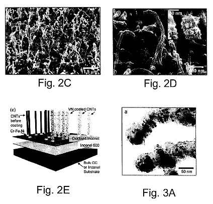 fig2.jpg