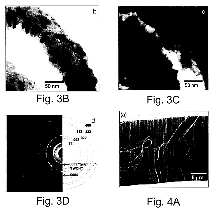 fig3.jpg