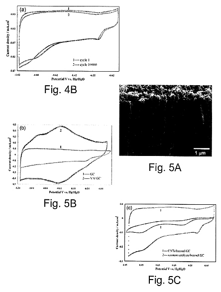 fig4.jpg