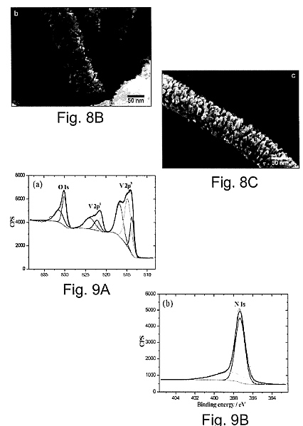 fig7.jpg