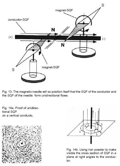 sqm15.jpg