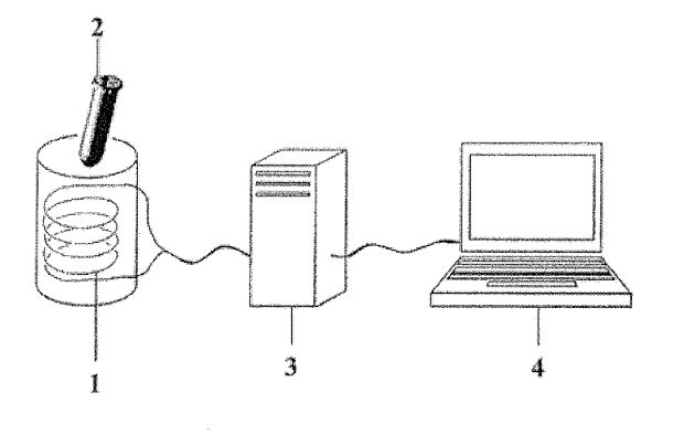 fig1.jpg