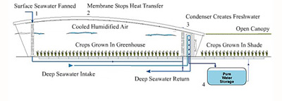 greenhousediagram400.jpg