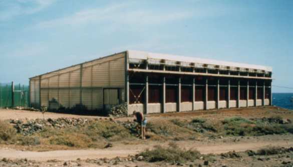 lightworkshothouse.jpg