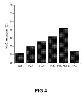 fig4.JPG