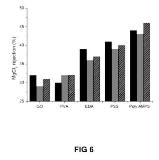 fig6.JPG