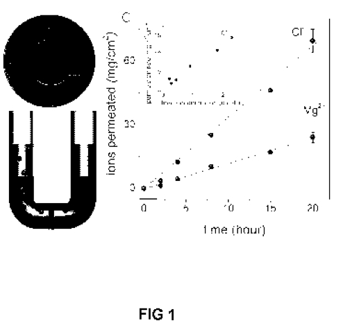wo2015075453a.jpg