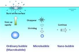 nanobub1.jpg