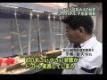 youtbechiba.jpg