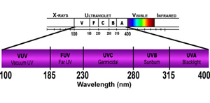 fuvspectrum.jpg