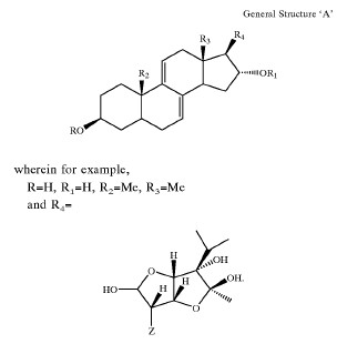 fig1.jpg