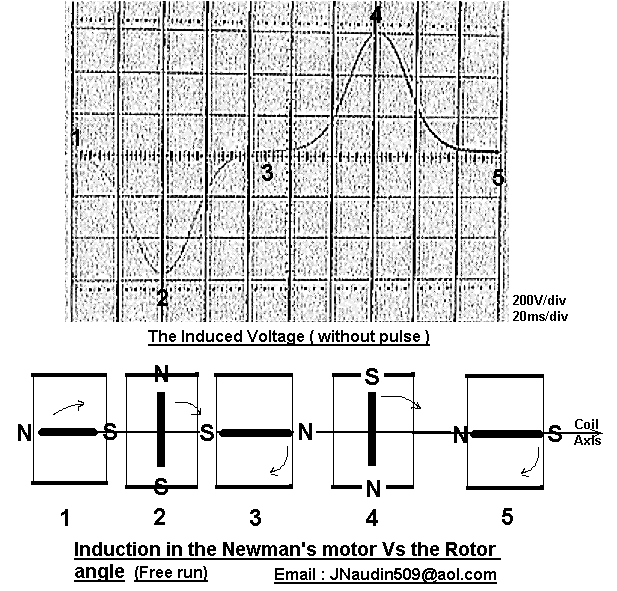 naudinscoepQ11induc.gif