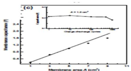 fig-1.jpg