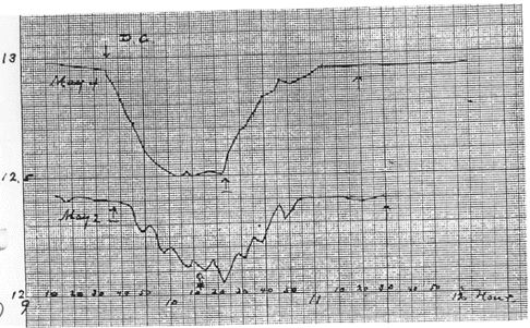 n3fig4.jpg