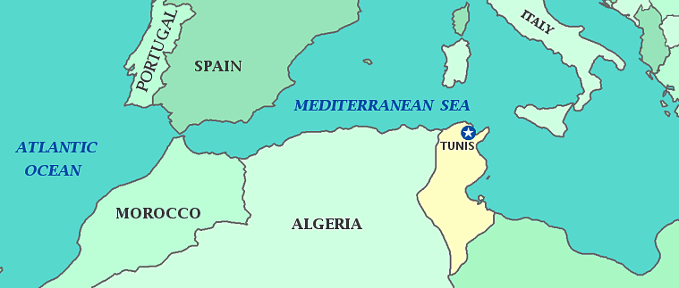 40-1-73-tunisia.gif