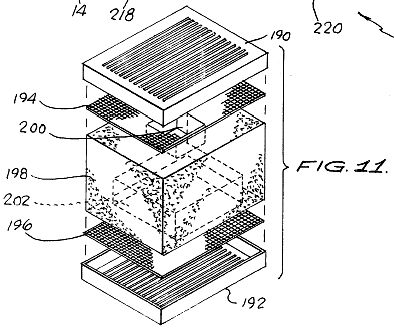 11fig.jpg