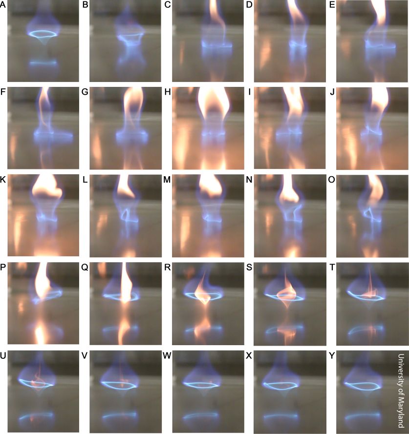 4Figure4.jpg