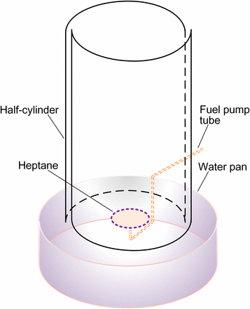 5Figure5.gif