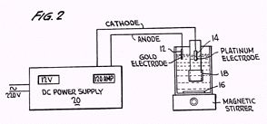 2fig.jpg