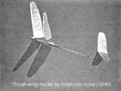 thrust_wing_k.jpg