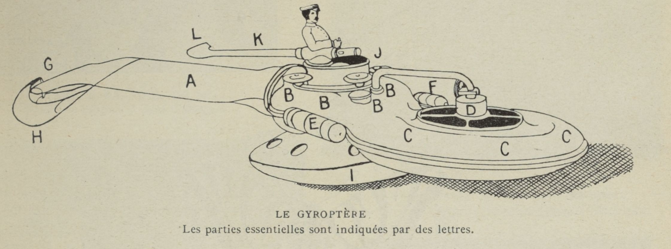 gyroptere2.jpg
