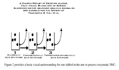fig2.jpg