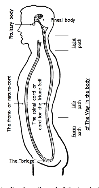 FigVI-D.jpg