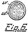 p6.jpg