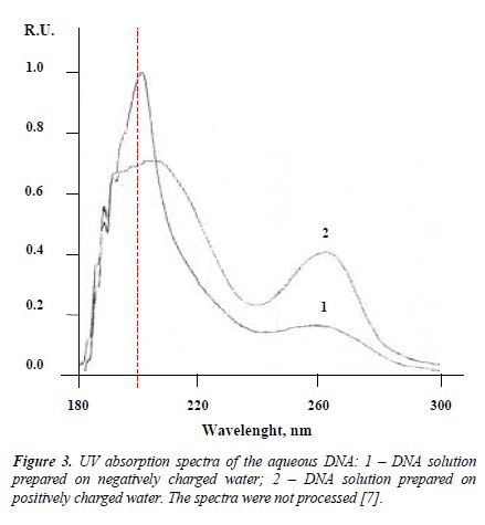 fig3.JPG