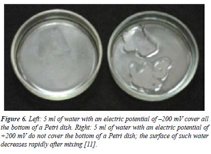 fig6.JPG