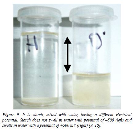 fig9.JPG