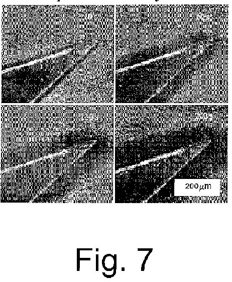 us779g.jpg