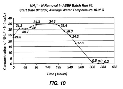 fig10.jpg