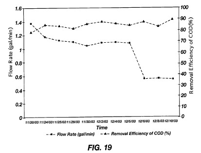 fig19.jpg
