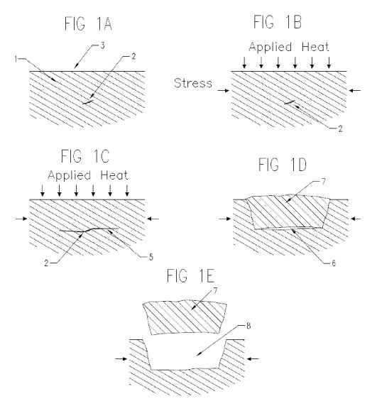 fig1.jpg