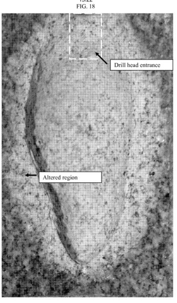 fig18.jpg